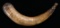 EARLY CARVED POWDER HORN.