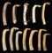 DEALERS LOT OF 12 NATIVE AMERICAN ELK HORN HIDE
