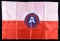 PRESENTATION 3RD ARMY HEADQUARTERS FLAG TO GENERAL