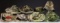 GROUP OF 6 BUSH HATS & 2 BOONIE HATS.