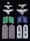 WWII GERMAN LUFTWAFFE INSIGNIA.