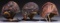 3 US ARMY AIR FORCES LEATHER FLIGHT HELMETS.