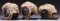 3 WWII ERA KHAKI FLIGHT HELMETS.
