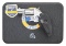 NORTH AMERICAN ARMS MODEL NAA-22MS-HG SINGLE