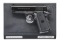 PARA ORDNANCE P12-45 SEMI AUTO PISTOL.