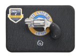 NORTH AMERICAN ARMS MODEL NAA-22MS-VL SINGLE