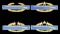 EXTREMELY RARE GOLD US COMBAT INFANTRYMAN BADGES