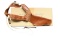 WWII US OSS TYPE 1 COLT MODEL M SHOULDER HOLSTER