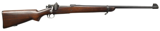 SPRINGFIELD M1903 NRA SPORTER RIFLE.