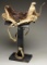 PUBLISHED FUR TRADER SADDLE TREE.