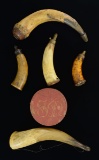 GROUP OF EARLY AMERICAN POWDER HORNS & MILITIA
