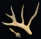 19TH CENTURY INUIT CARVED REINDEER ANTLER