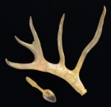 19TH CENTURY INUIT CARVED REINDEER ANTLER