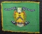 OFFICIAL US DEPARTMENT OF TREASURY FLAG.