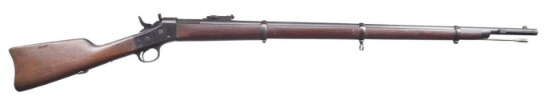 ARGENTINE MODEL 1879 REMINGTON ROLLING BLOCK