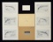 COLLECTION OF COLT HISTORICAL PRINTS.