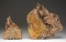 TWO WOOLLY MAMMOTH FOSSILIZED TEETH.