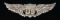 WWI ERA US ARMY AIR CORPS PILOT’S WINGS.
