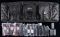 DRAGO SOFT CASE CONTAINING 15 ASSORTED M1 CARBINE