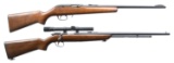 LOT OF TWO RIMFIRE RIFLES.