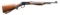 WINCHESTER MODEL 64 DELUXE LEVER ACTION CARBINE.