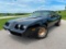 1981 PONTIAC TRANS AM TURBO