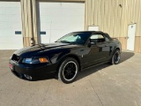 1999 FORD MUSTANG COBRA CONVERTIBLE