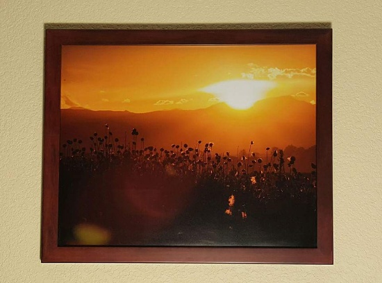 Sunset Framed Print