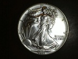 1991 1 oz. Silver American Eagle BU