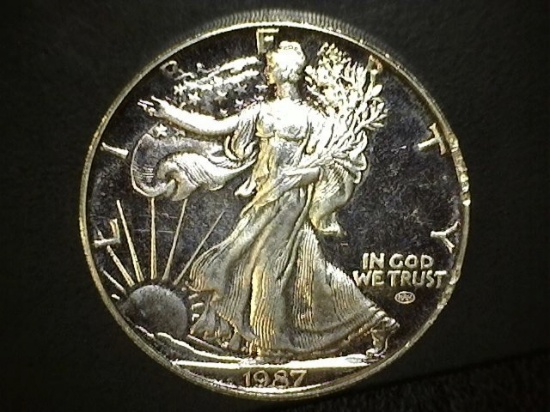 1987 2 oz. Silver American Eagle Round