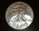 2006 1 oz. Silver American Eagle BU