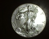 2013 1 oz. American Silver Eagle BU