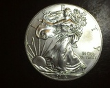 2013 1 oz. American Silver Eagle