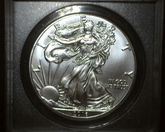 2016 1 oz. American Silver Eagle MS 69 ANACS MONSTER BOX COLLECTION