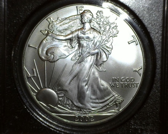 2002 1 oz. American Silver Eagle MS 69 PCGS