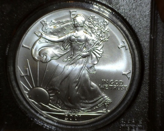 2001 1 oz. American Silver Eagle MS 69 PCGS