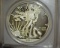 2013 W 1 oz. American Silver Eagle Enhanced Mint State MS70 PCGS -- The Perfect Coin