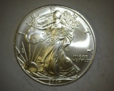 2004 1 oz. American Silver Eagle BU