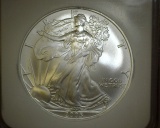 2005 1 oz. American Silver Eagle MS 69 NGC