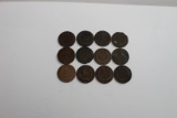 Lot of 12 Indian Heads 1864-1865-1879-1909 Impaired