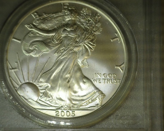 2005 1 oz. American Silver Eagle MS 69 PCGS