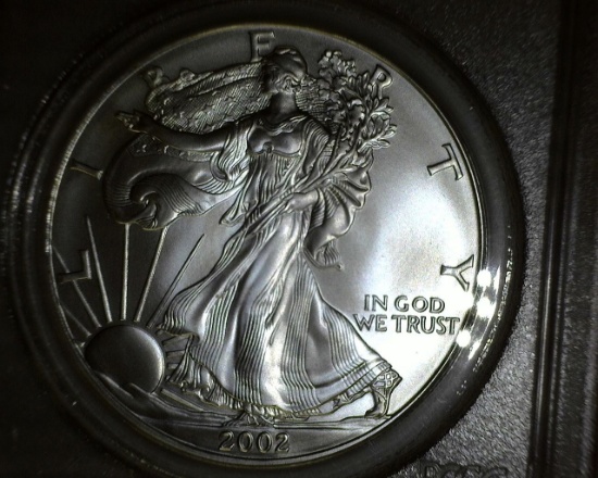 2002 1 oz. American Silver Eagle MS 69 PCGS