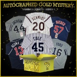 Autographed Baseball Jersey Mystery Box GOLD Series 1
