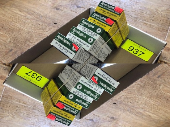140 ROUNDS 22-250 MIXED BRANDS