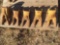(5) Unused Caterpillar Bucket Teeth, Misc Sizes [Yard 1: Odessa, TX]