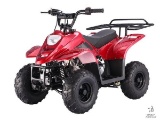 Unused 110cc Atv Full Suspension Auto Transmission, Electric Start