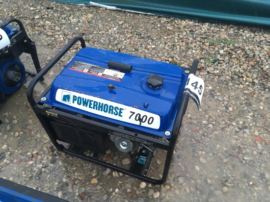 Powerhorse Portable Generator 7000 Watts (Inoperable)