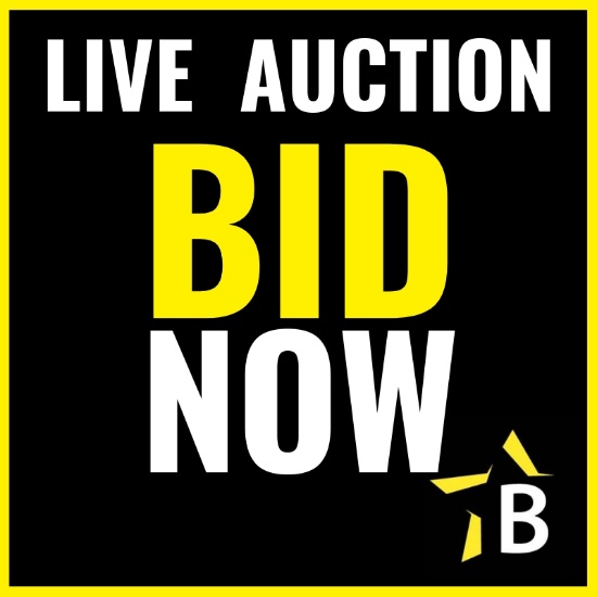 Odessa Oilfield & Heavy Equipment Auction