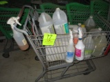 Shopping Cart With Cleaning Supplys