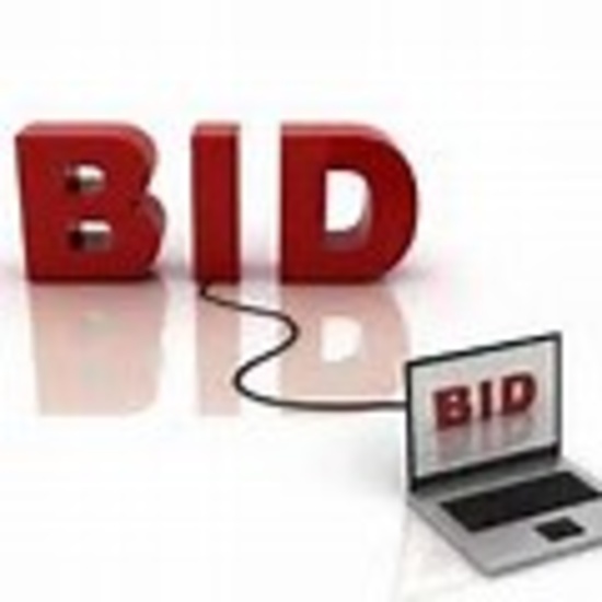 Helpful Bidding Information